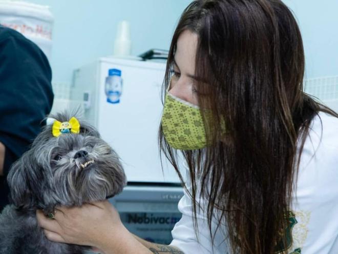 Iniciativa gratuita visa reduzir o índice de animais abandonados e procriação nas casas