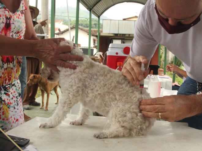 A vacinação urbana de cães e gatos será realizada aos sábados do mês de setembro